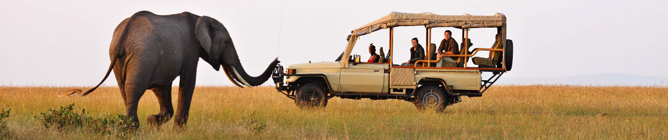 Kenya - from the Masai Mara migration to the wildlife of Amboseli and the beaches of the coast, Kenya delivers classic African holidays.